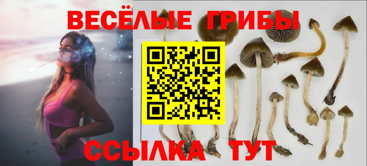 Псилоцибиновые грибы мицелий Киров