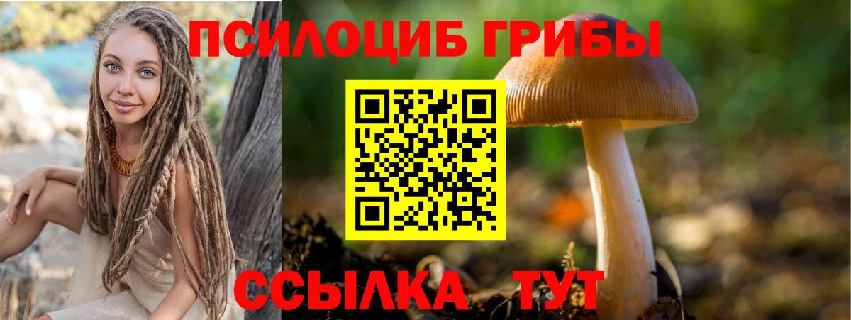 купить закладку  Галлюциногенные грибы Magic Shrooms  Вход с VPN  Киров  Псилоцибиновые грибы мухоморы 